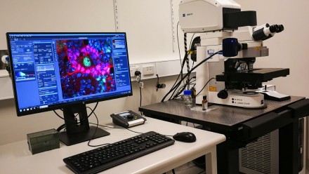 A computer screen and keyboard in the foreground, with a colourful image on the screen. A confocal microscope in the background, to the right.