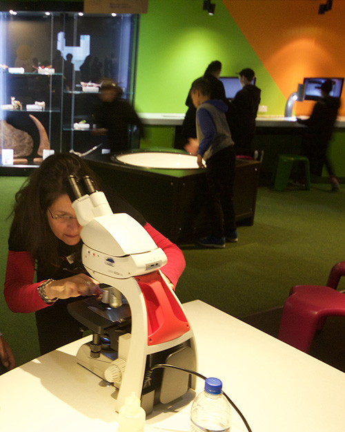 Melanie Rug setting up a light microscope for a demonstration at Questacon
