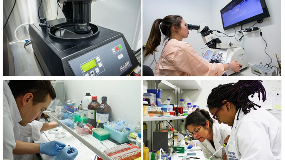 Sample preparation Top left: MetPrep3 polisher. Top right:Joanne Lee using Leica Ultramicrotome EM UC7. Bottom left: Preparing biological samples Bottom right: Melanie Rug looks on while a student prepares a sample.