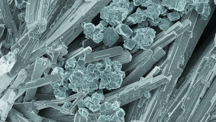 Ferrous oxalate and manganese oxalate particles, by Joyce Yeoh. Image captured using the ZEISS UltraPlus FESEM.