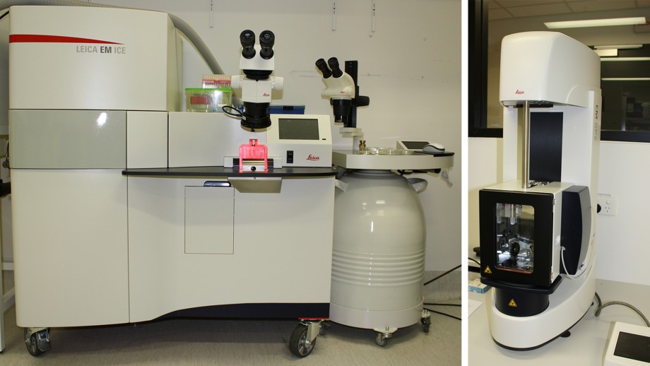 cryo equipment