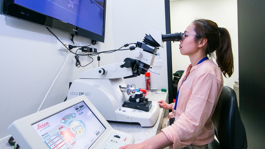 Jlee ultramicrotome