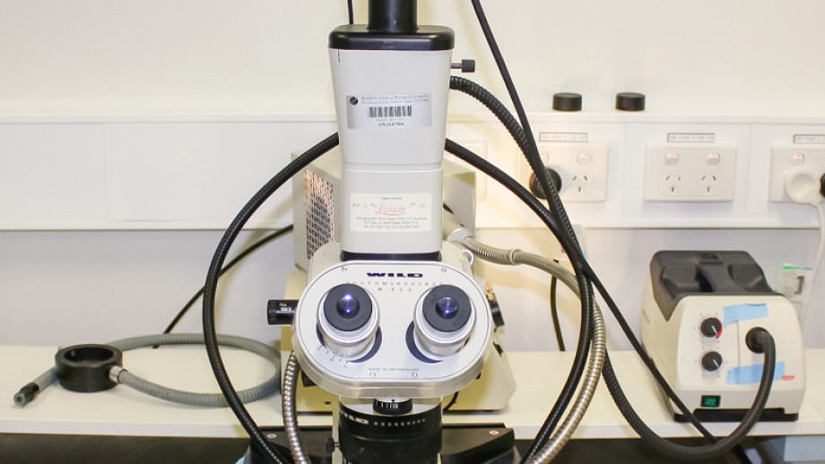 Wild M400 photomacroscope