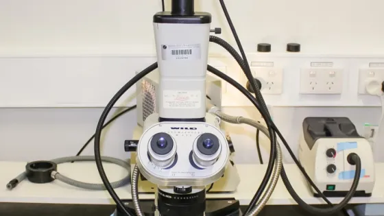 Wild M400 photomacroscope