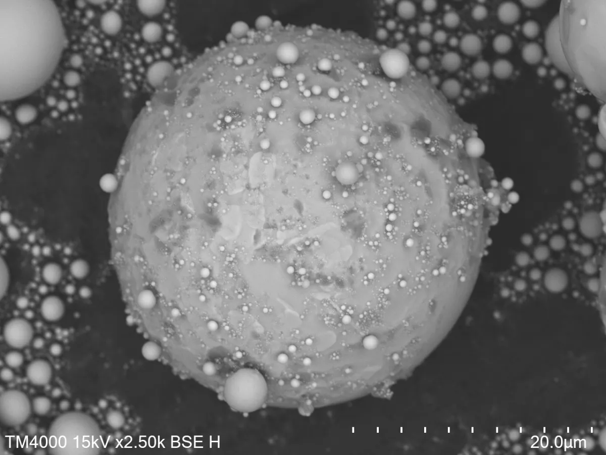 Spherical tin microparticles imaged with a BSED detector (capturing BSE signal)
