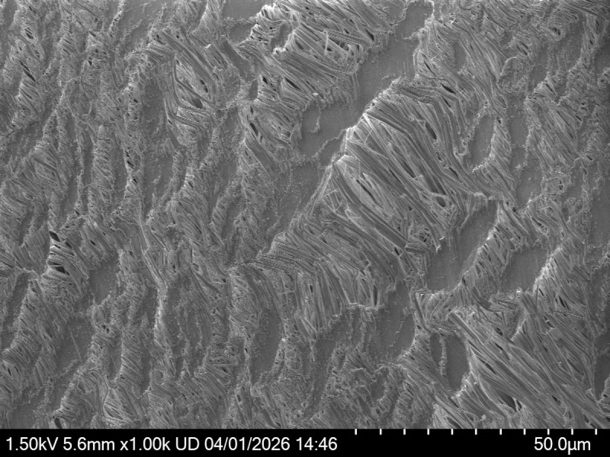 Secondary electron SEM image of a Teflon (PTFE) surface