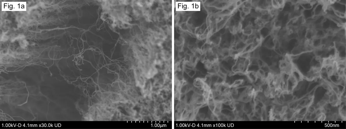High-resolution SEM images of carbon nanotubes