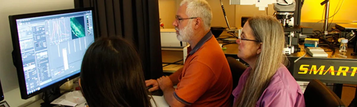 CAM group working on computer