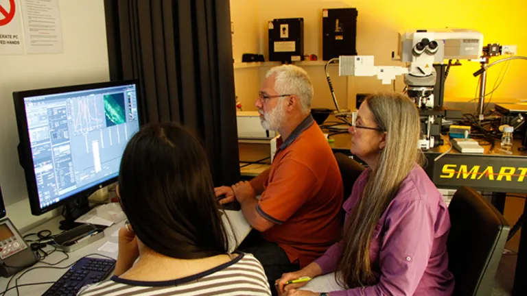 CAM group working on computer