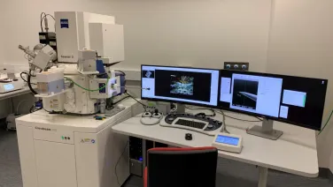 ZEISS Cross beam 550